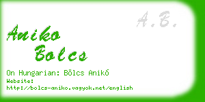 aniko bolcs business card